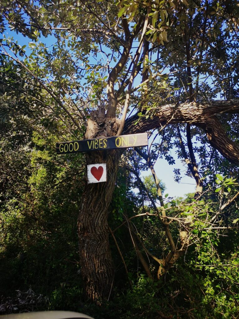 Wild Woody Cape