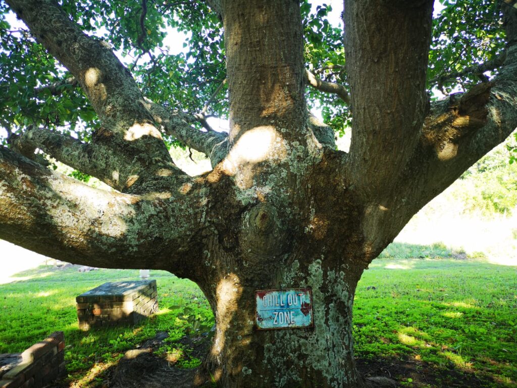 Wild Woody Cape