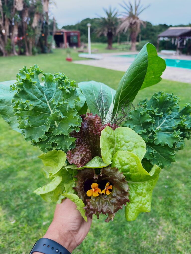 Wild Woody Cape Veggie Garden